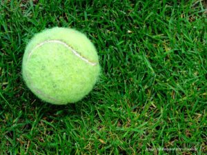 Grass Tennis