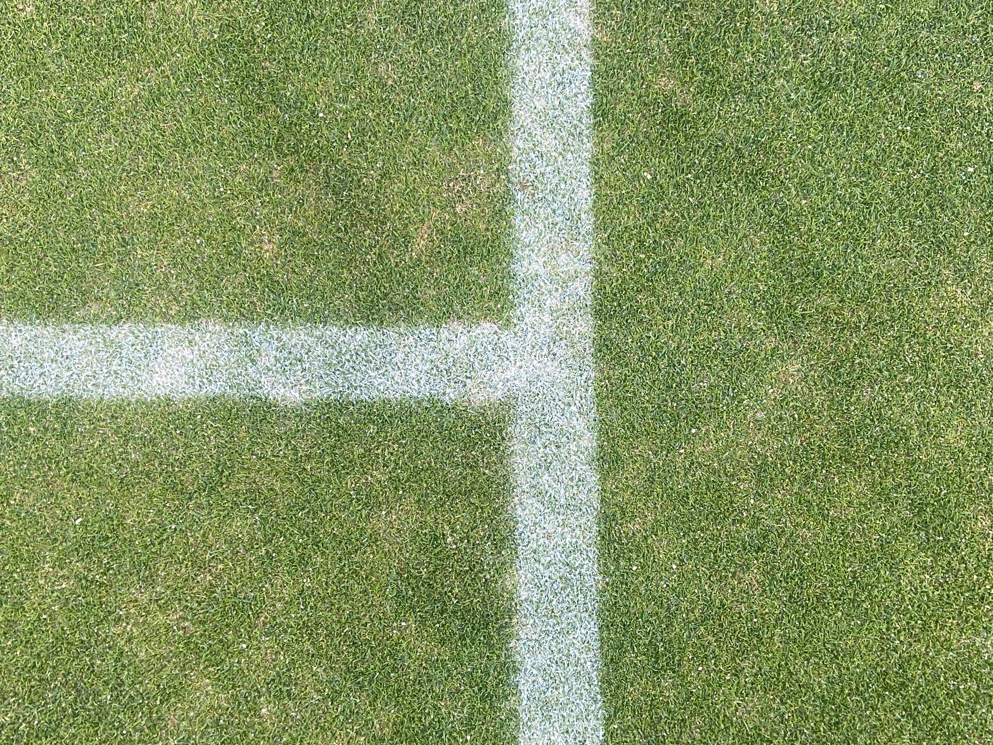 Grass Court