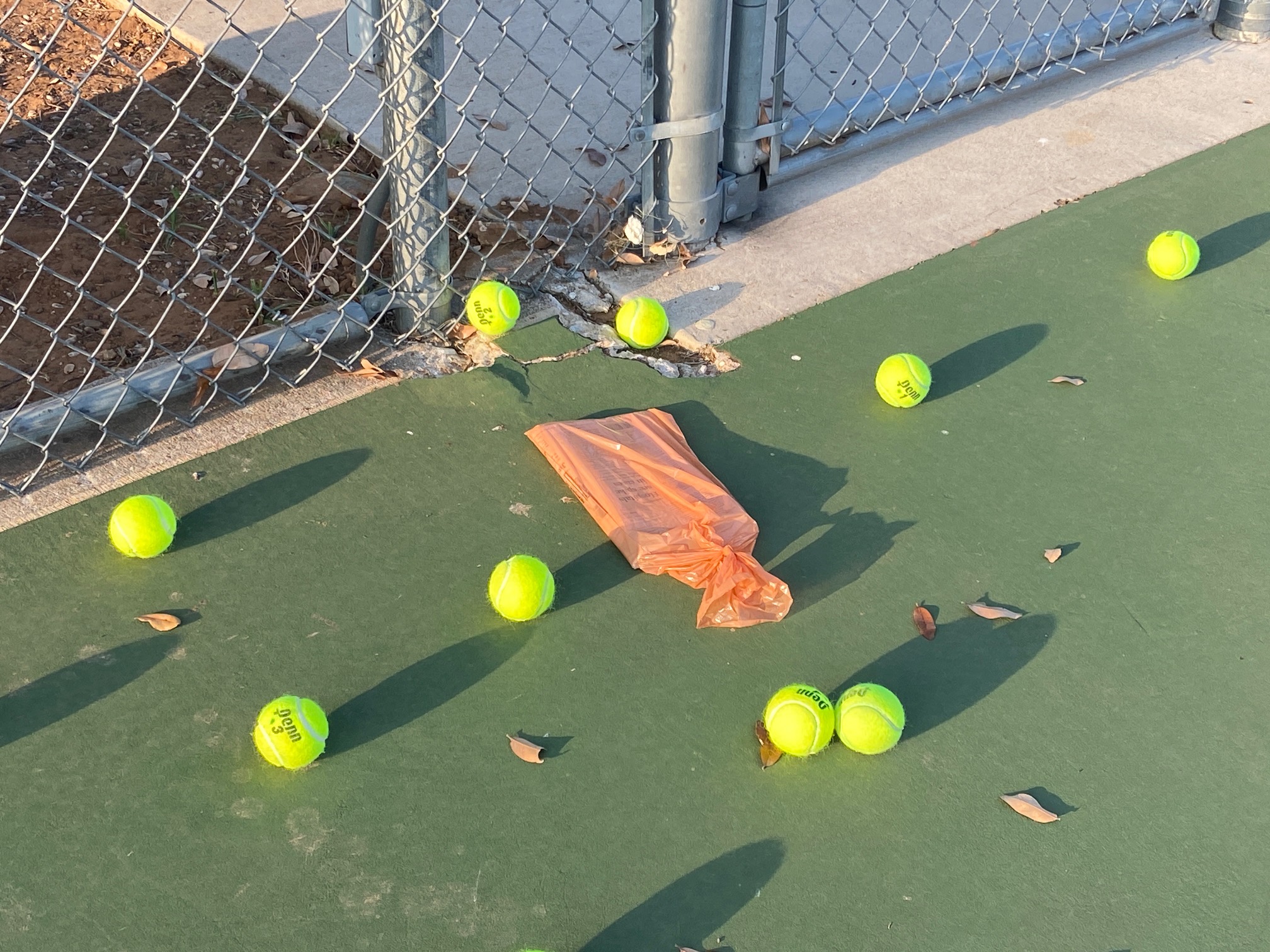 Tennis News