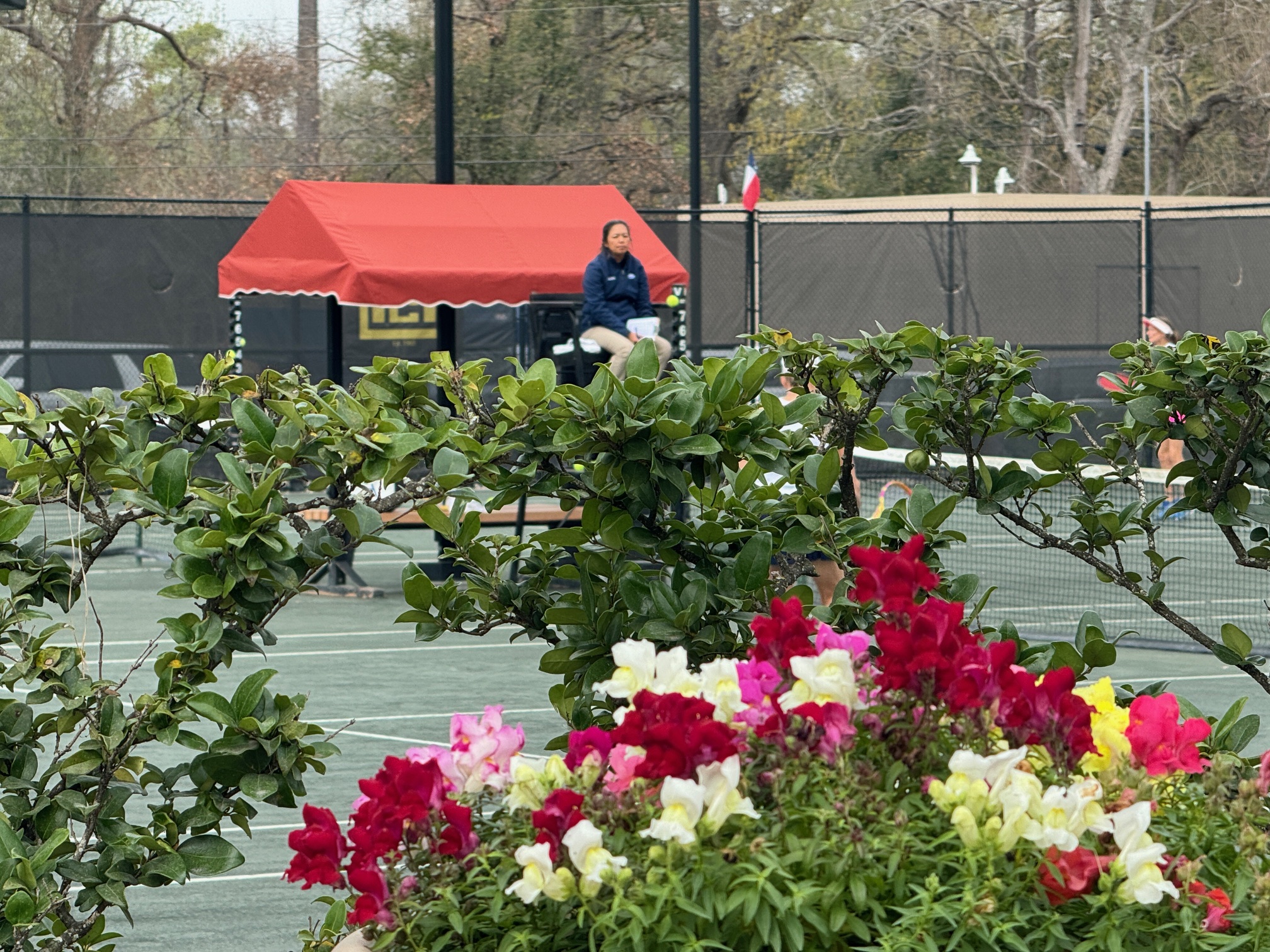 Tennis Umpire in Chair
