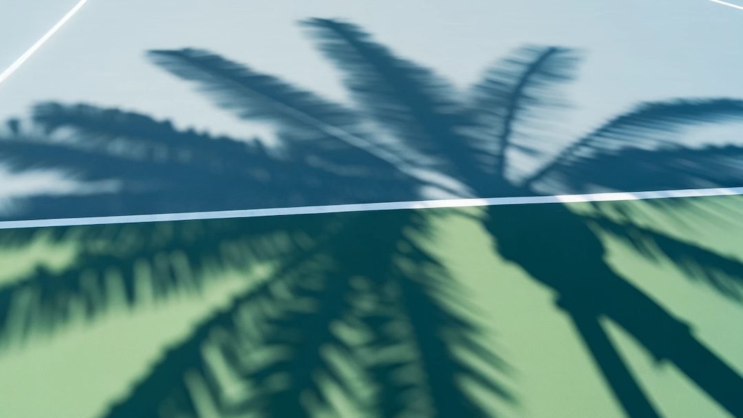 Palm Tree Shadow on Tennis Court