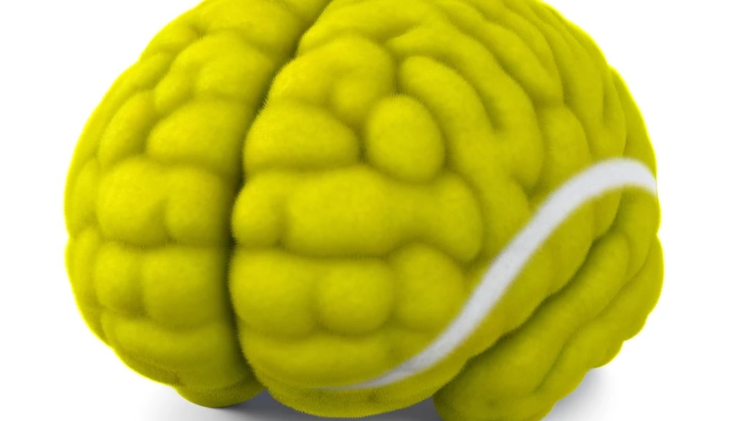 Tennis Brain