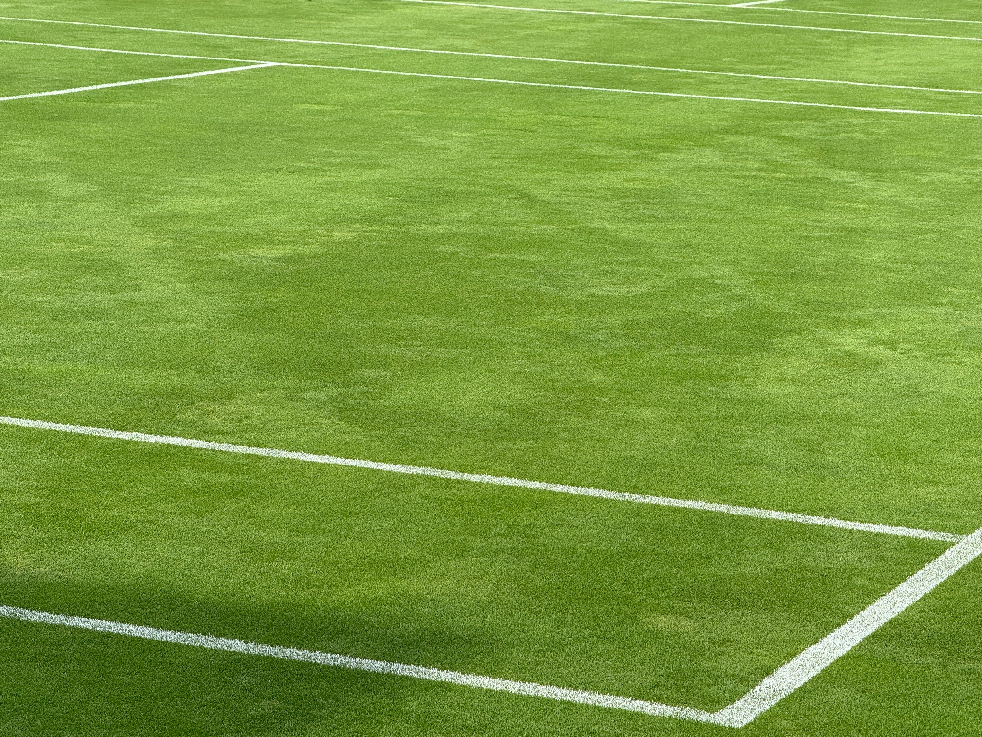 Grass Tennis Court