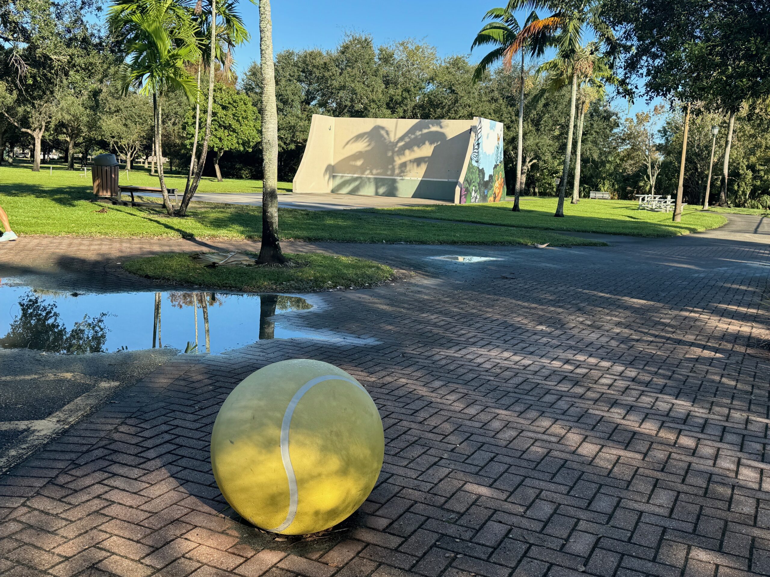 Backboard at Veltri