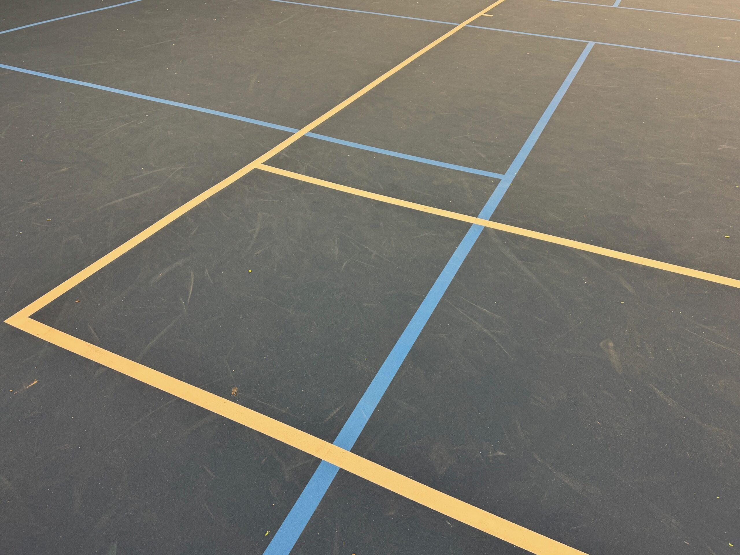 Dual Lined Court at McLeland