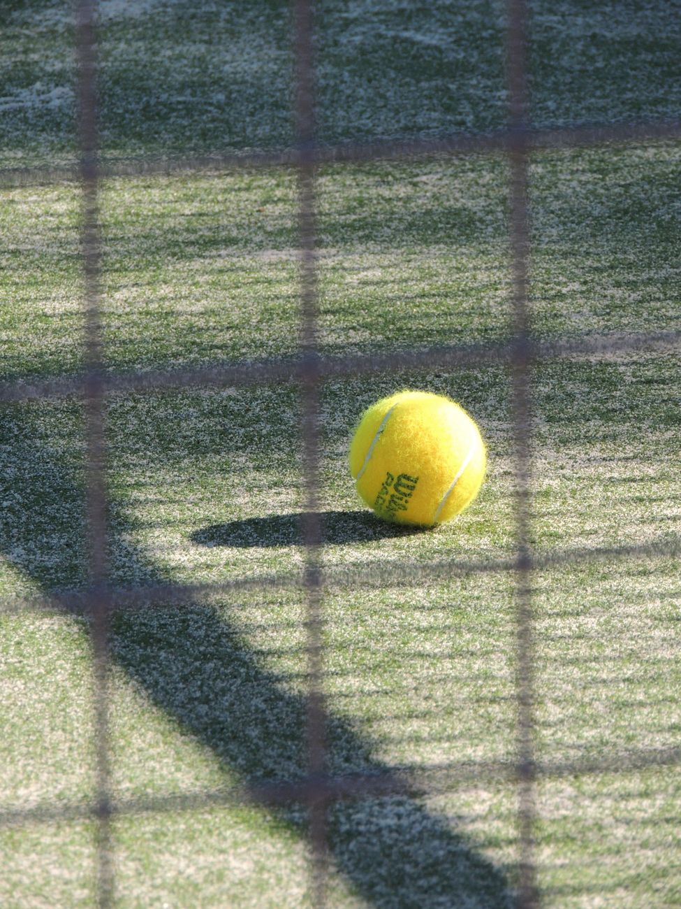 tennis ball in green grass during daytime