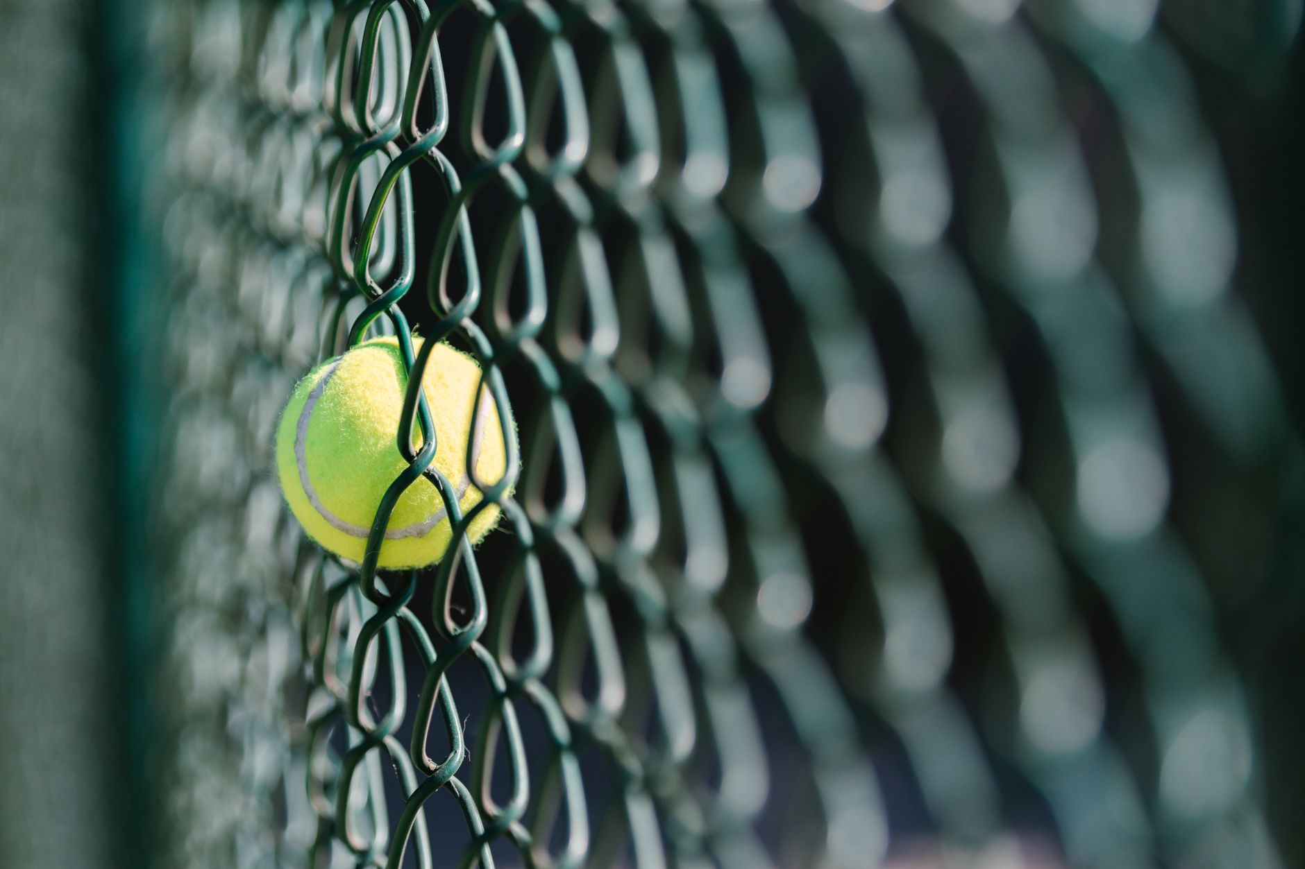 close up view of a tennis ball on a wire fence