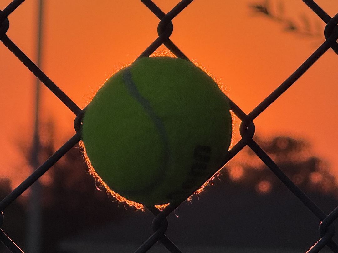 Tennis Ball in Fence at Sunrise