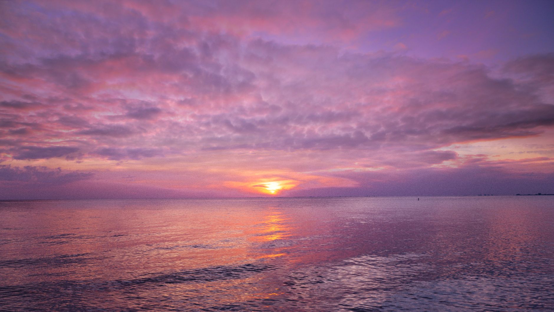 calm ocean during golden hour